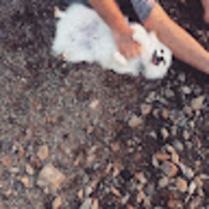 Meet your Posher, Janessa